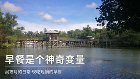 动物帮帮忙保卫家园